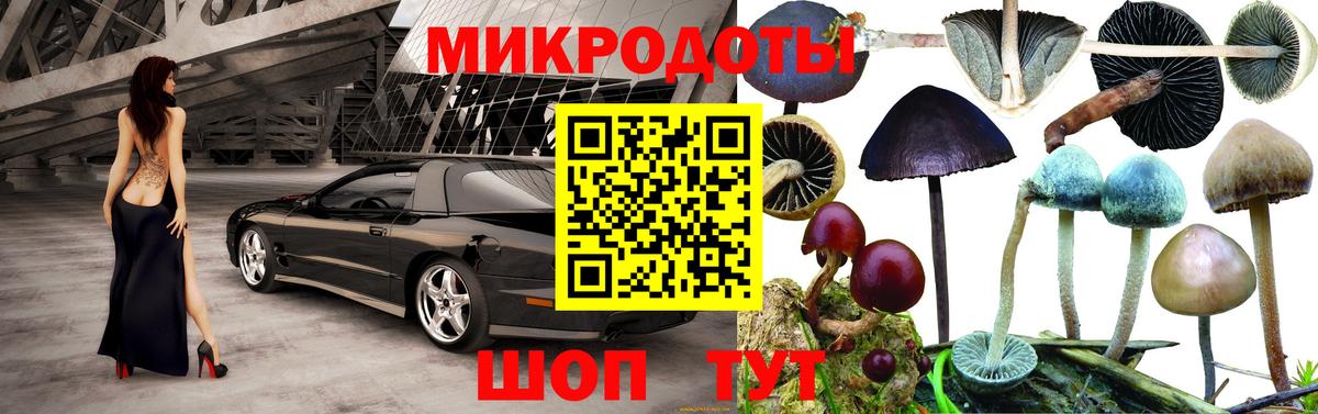 Саяногорск  Псилоцибиновые грибы ЛСД  Вход с VPN 